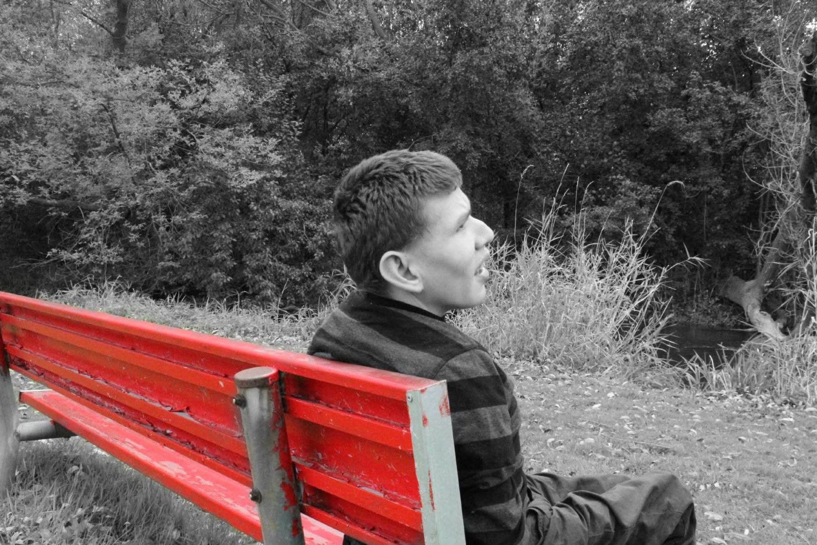 A young man sits alone on a red park bench, gazing quietly toward the trees and water