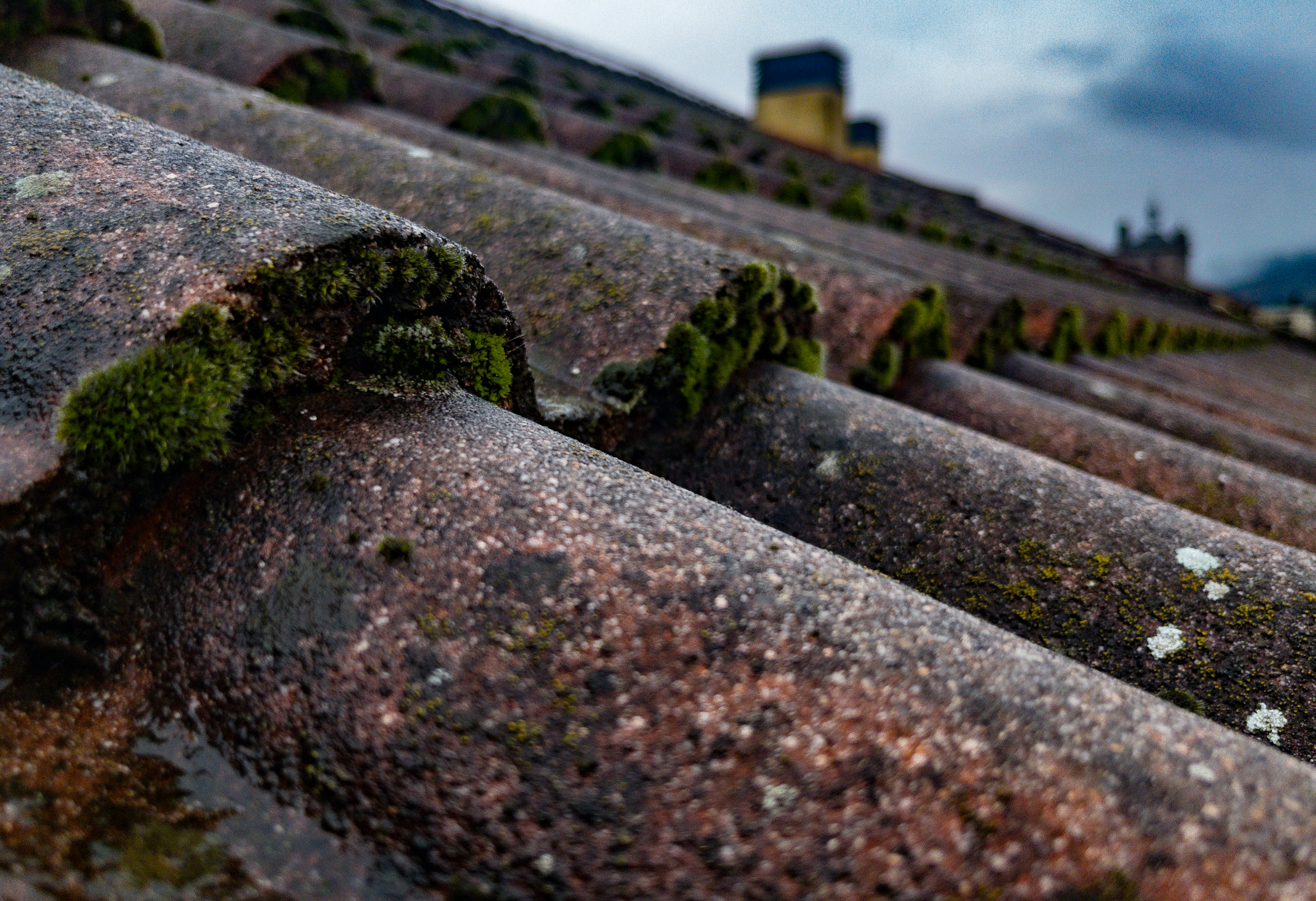 Weathered, moss-covered clay roof tiles with a castle visible in the distance